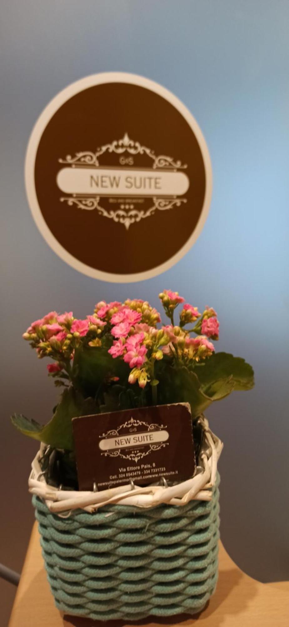 New Suite パレルモ エクステリア 写真
